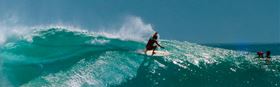 All Down The Line + Q&A - Surf Classics Day