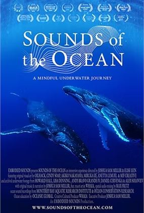 Sounds of the Ocean - Film Concert + Panel