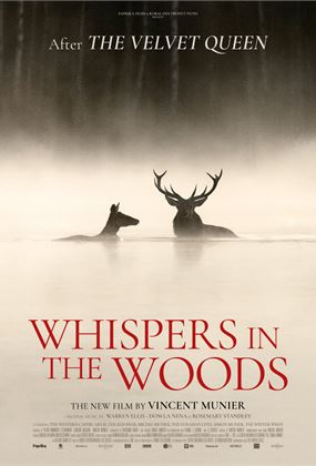 Whispers in the Woods